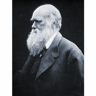 Timeline: Charles Darwin