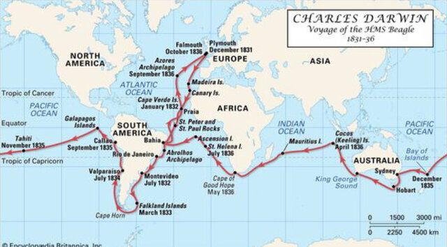 Charles Darwin:  2/12/1809 - 4/19/1882