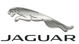 Timeline: Jaguar
