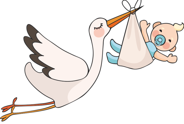 Angeline Summer est née