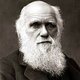 Pic of darwin