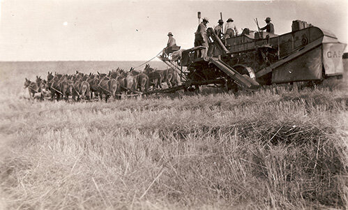 Horse and Mule Power