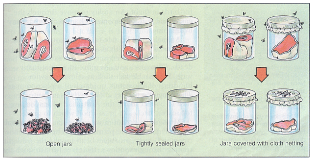 Redi's experiment