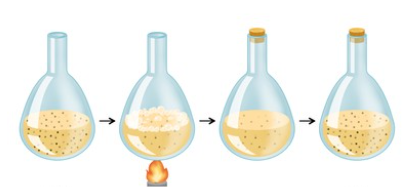 Needham's experiment