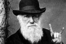 (Darwin) Teoría de la evolución. Evolucionismo neoilustrado. Libro: "El origen de las especies"