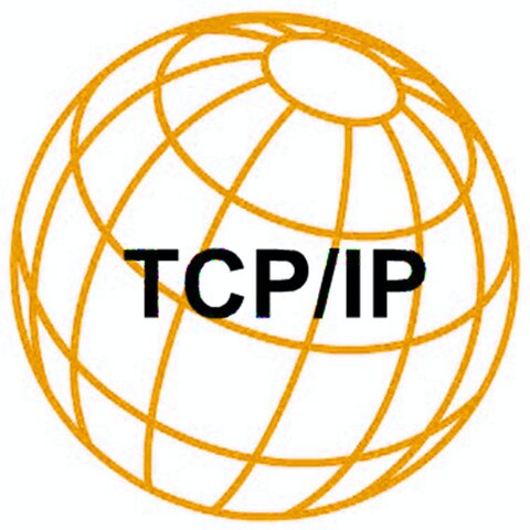 Adoption du protocole TCP/IP et du mot « Internet »
