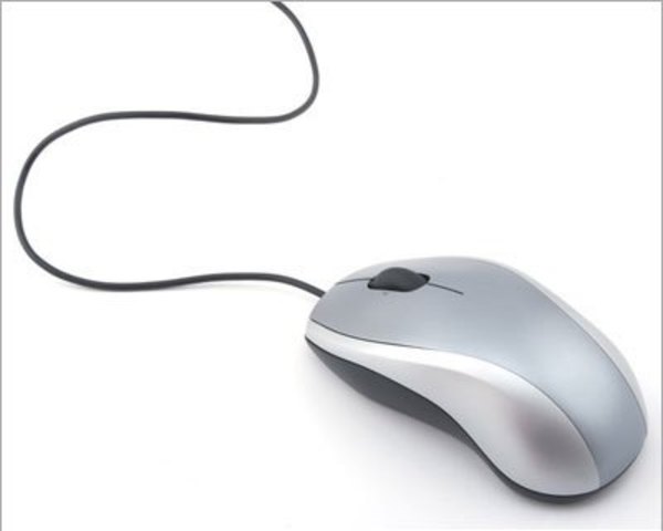 The Computer Mouse