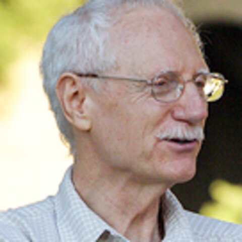 Walker define a la teoría del currículo como: “un cuerpo de ideas, coherente y sistemático, usado para dar significado a los problemas y fenómenos curriculares, y para guiar a la gente a decidir acciones apropiables y justificables”.