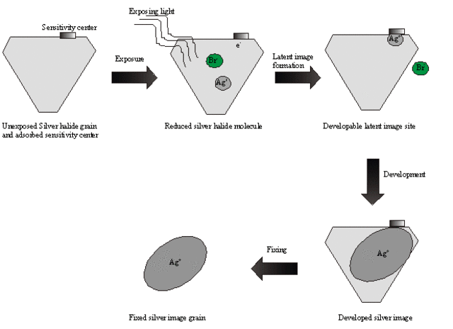 Silver Nitrate Darkens