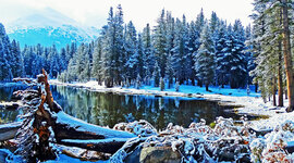 Timeline: WINTER TASKS