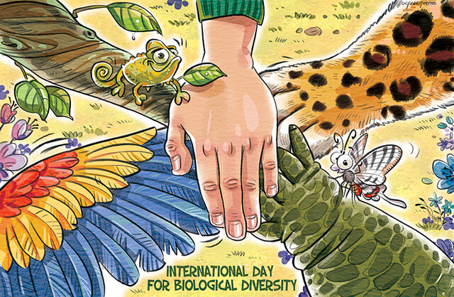 Khrushchev calls for peaceful co-existence