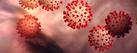 Covid-19 P(l)andemic