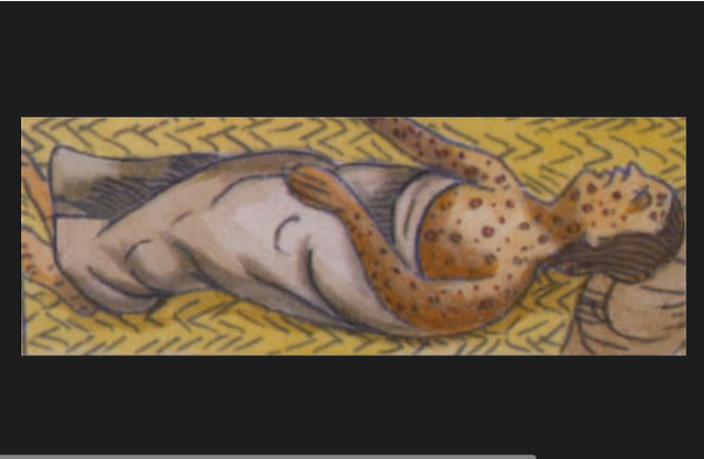 An epidemic of smallpox, brought by Europeans, kills many Native Americans on the New England coast.