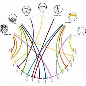 GEN PARA LA PROTEINA DEL PELO