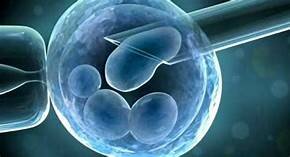 EXPERIMENTOS CON MODIFICACION DE EMBRIONES