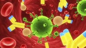 TERAPIA CON ANTICUERPOS