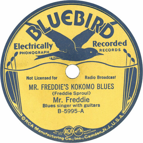Mr. Freddie's Kokomo Blues