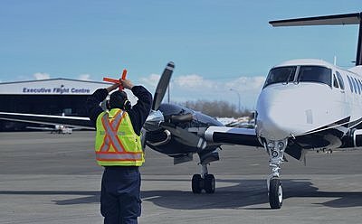 Se agregan dos nuevos terminos