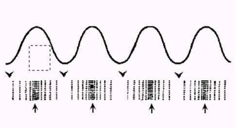 Ultrasonido- Desarrollo de Transductores