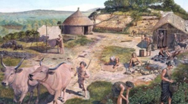 Timeline: The Agricultural Revolution