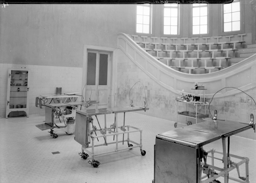 RAYOS X: Creación de Federaciones y Congresos