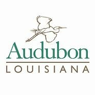 Fundación de National Audubon