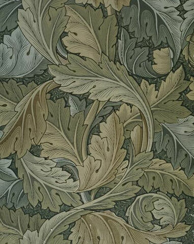 Acanthus