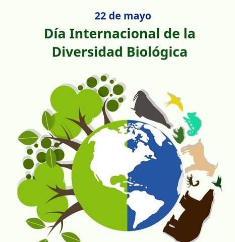 Dia internacinal de la diversidad biologica