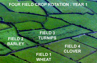 Charles Townshend- 4 Crop Rotation