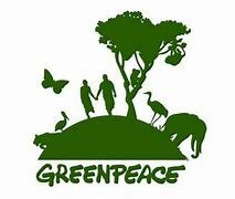 Nace Greenpeace