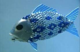 Le robot poisson Essex