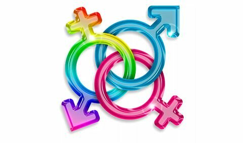 Identidad de género