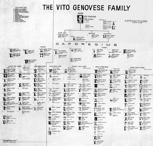 Revolt against Genovese family
