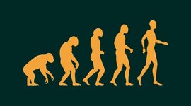 Timeline: El nacimiento de la Humanidad