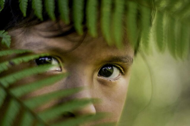 NIÑOS Y NIÑAS EN EL CONFLICTO ARMADO