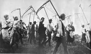 Agricultural Procurement Prices down 6%