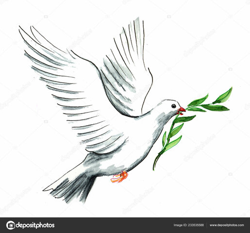 El CUERVO Y LA PALOMA EN EL GN 8