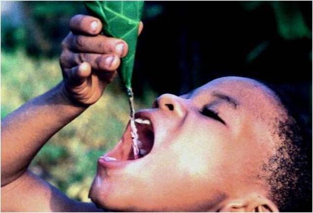 Las Grandes Preocupaciones desde los ‘90