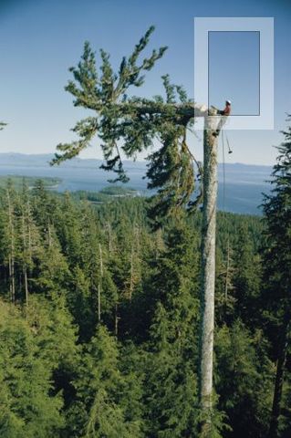 Las Grandes Preocupaciones desde los ‘90