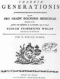 Caspar Friedrich Wolff