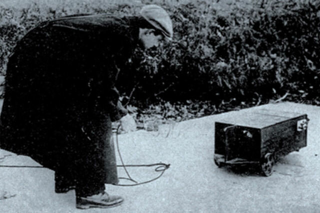 Chien électrique de Hammond