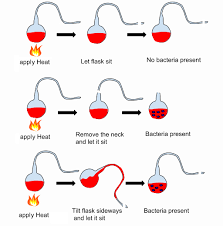 Pasteur puts spontaneous generation to rest