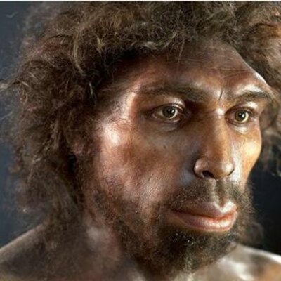 Timeline: El origen de la vida