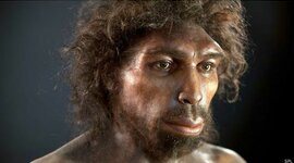 Timeline: El origen de la vida