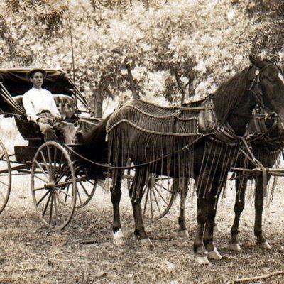 Timeline: Horse and Buggy Research