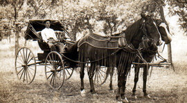 Timeline: Horse and Buggy Research