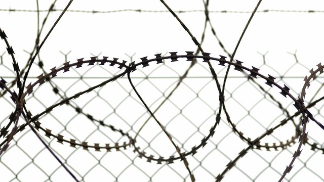 Barbed wire