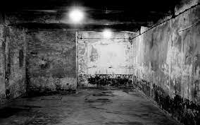 Nazi's establish gas chambers at Aushwitz