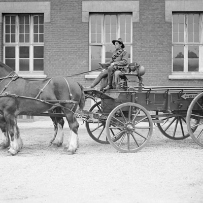 Timeline: Horse and buggy Time Line