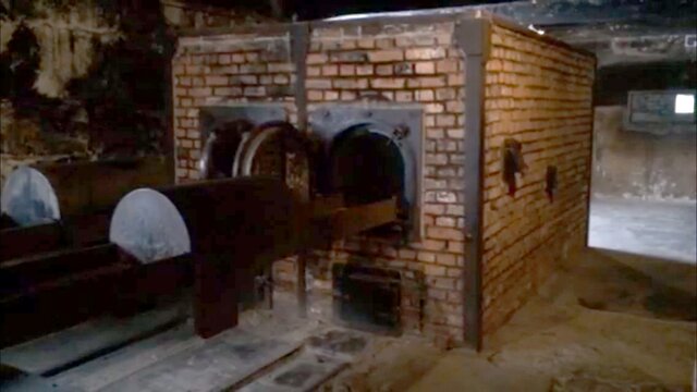 nazis establish gas chambers in aushwitz